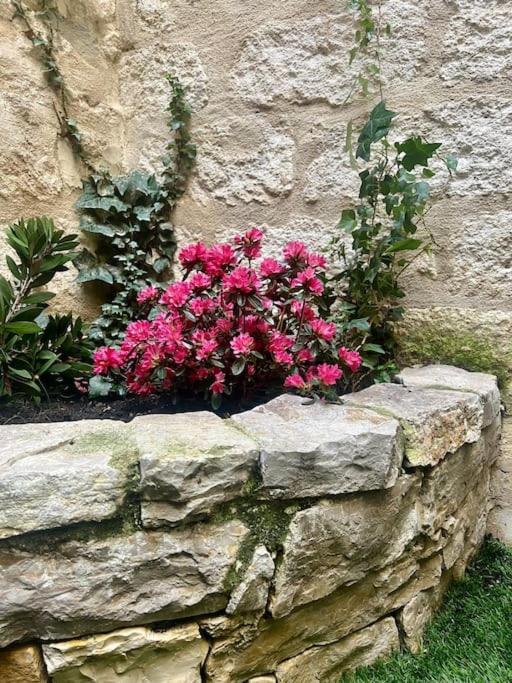 Appartement Le Laurier-Rose à Montpellier Extérieur photo